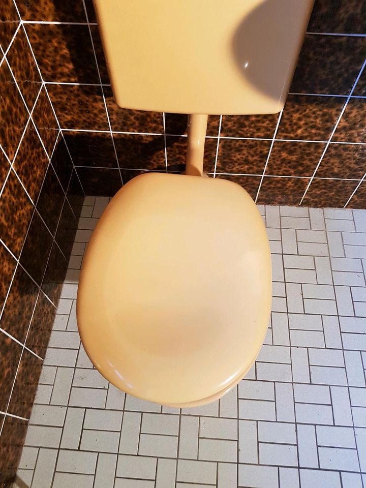 Badausstattung Waschbecken Dusche Badewanne Toilette WC curry in Alfeld (Leine)