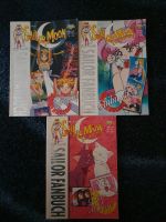 Sailor Moon Fanbuch Nr. 6, 9, 13 Buch Set Hessen - Wetzlar Vorschau