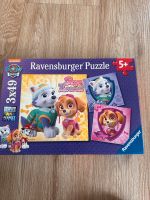 Puzzle Paw Patrol Obervieland - Arsten Vorschau