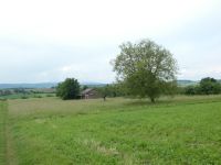 Landwirtschaftsfläche, tlw. Freizeitgrundstück, in guter Lage! Baden-Württemberg - Göppingen Vorschau