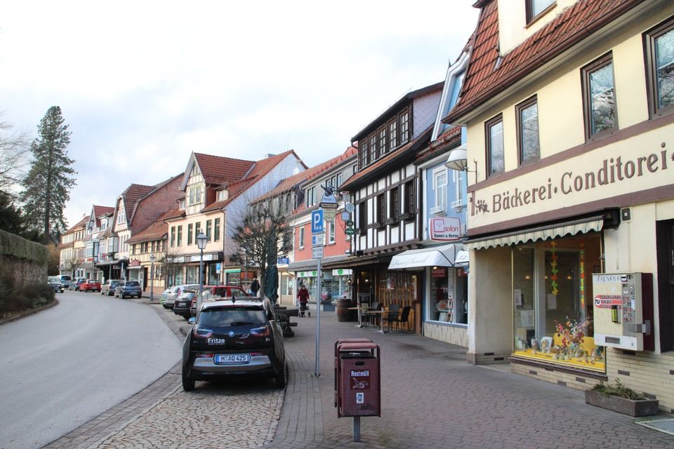 1 Zimmer Wohnung im Erdgeschoss mit EBK und Dusche in Bad Sachsa in Bad Sachsa