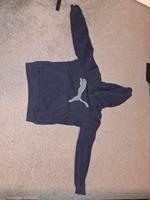 Puma kaputzen pullover Damen Schleswig-Holstein - Sommerland Vorschau