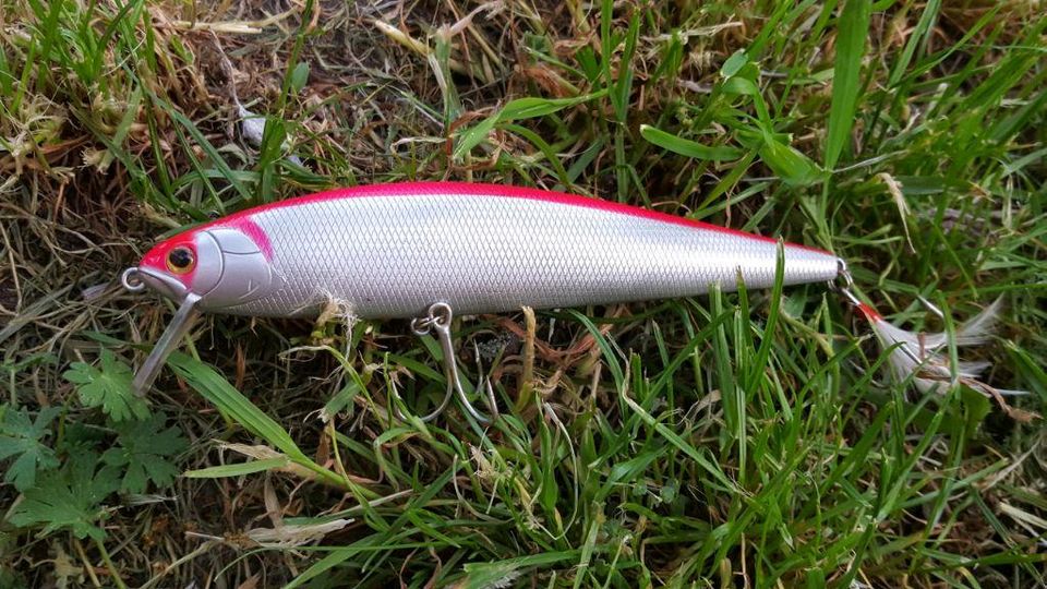 Illex Jackall Jerk Freddy 170 F SR Wobbler Hardbait Twitchbait in Potsdam