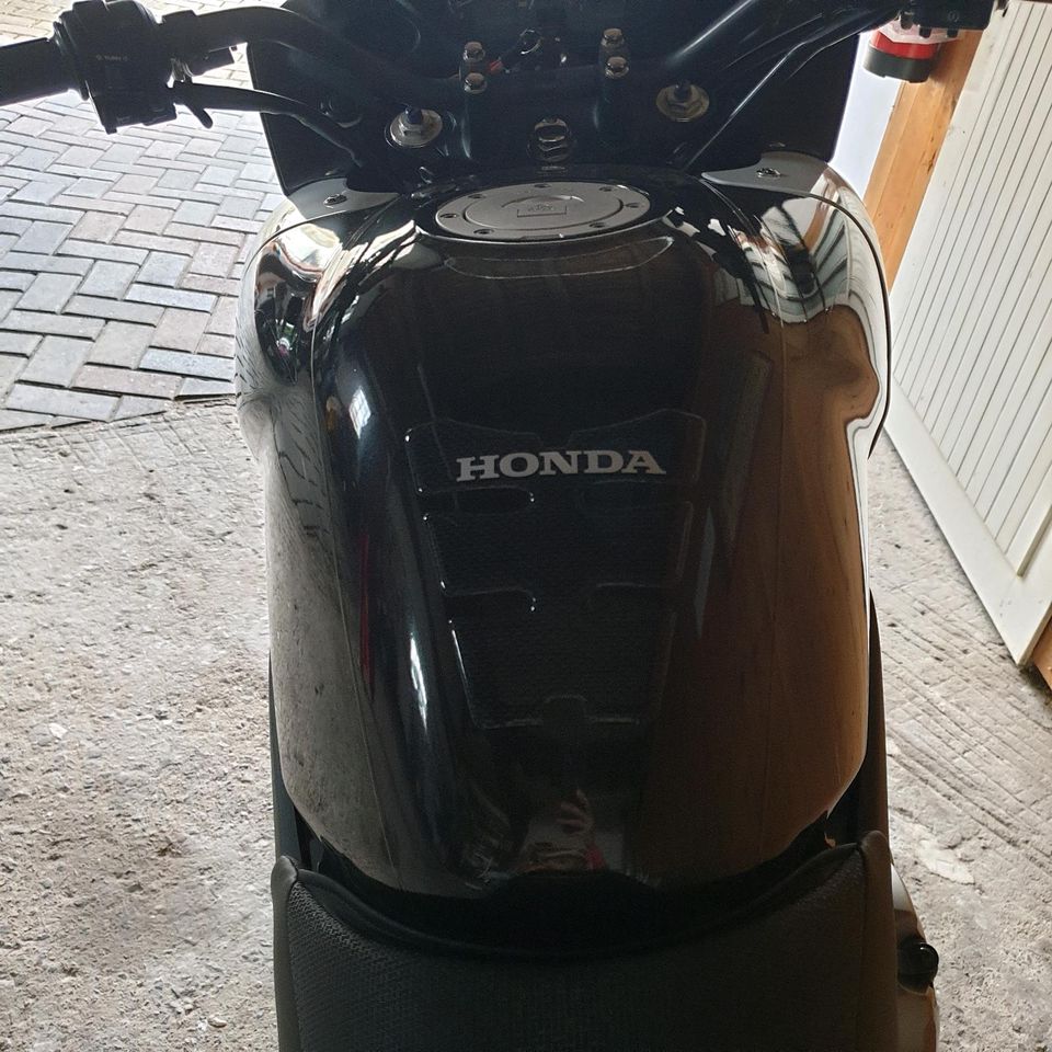 Honda CBF 600SA in Haldensleben