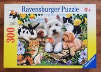 Ravensburger Puzzle 300 Teile ab 9 Jahren Haustiere Nordrhein-Westfalen - Lüdenscheid Vorschau