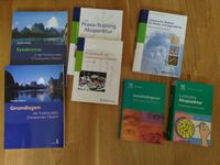 TCM Bücher Set Bundle chinesische Medizin Akupunktur Bayern - Schmiechen Vorschau
