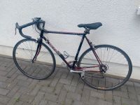 Peugeot IZOARD PE 430 - 50cm Düsseldorf - Friedrichstadt Vorschau