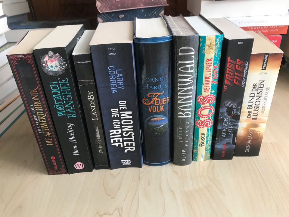 Fantasy Romane Paket Sammlung Bücher in Konstanz