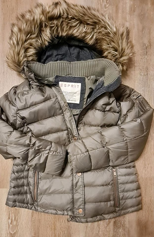 Original Esprit Damenjacke mit Kapuze Größe 44 in Zella-Mehlis