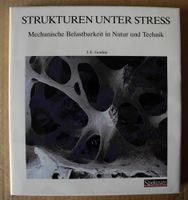 Strukturen unter Stress Mechanische Belastbarkeit in Natur + Tech Rheinland-Pfalz - Neustadt an der Weinstraße Vorschau