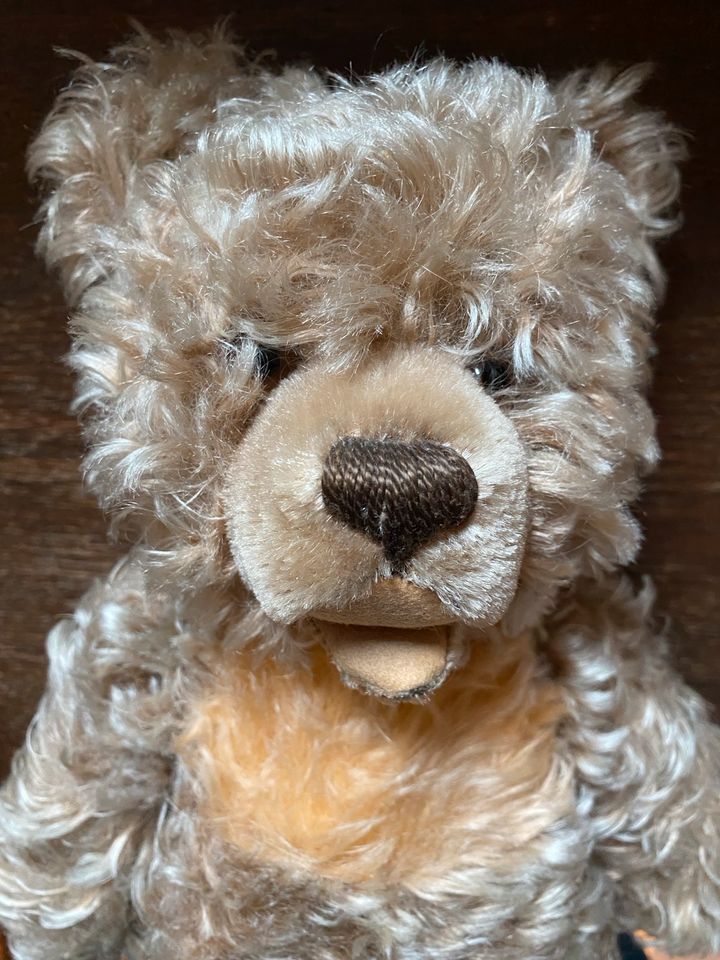 Steiff Teddy -Bär ca 30 cm Knopf im Ohr gut erhalten in Wiehl