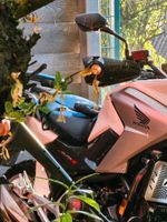 Honda NC750X DCT, Heck-Koffer, Griffheizung, Sturzpads Nordrhein-Westfalen - Overath Vorschau