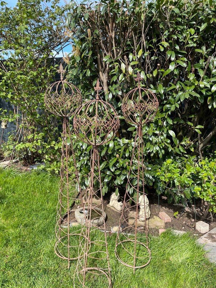 Rosensäule Obelisk Eisen 145-155 cm Rankhilfe Rosen-Gitter in Kamp-Lintfort