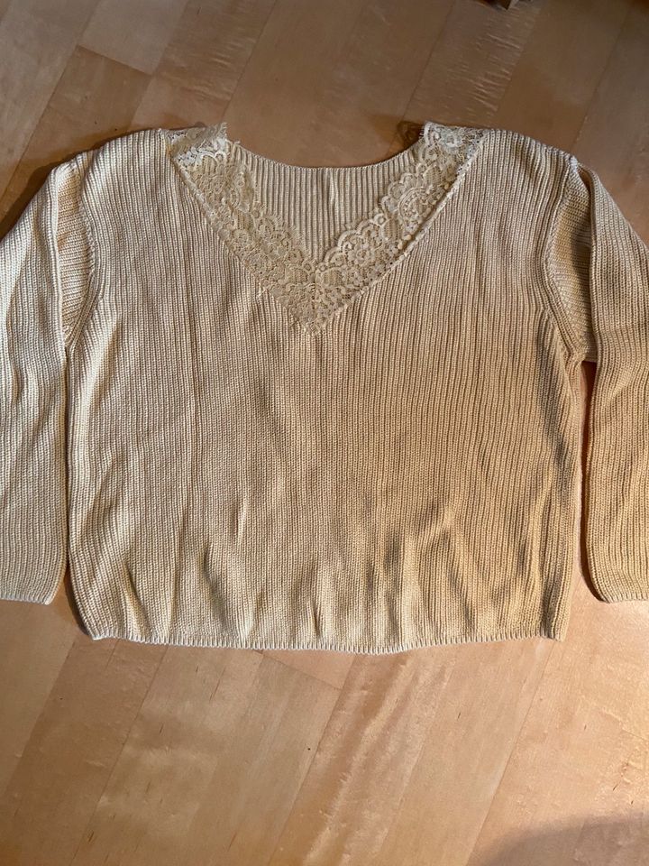 Pullover H&M Gr. M gelb mit Spitze Neu!! in Hohenfurch