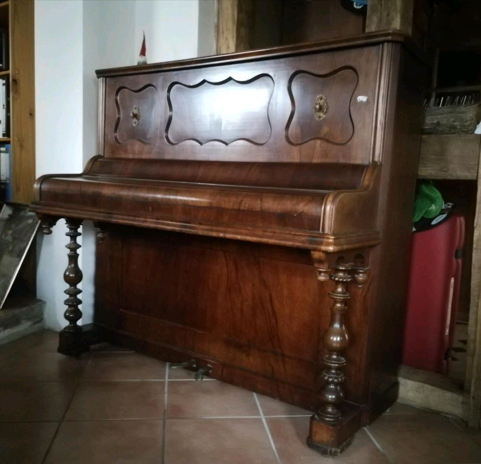 Klavier Kalzer in Schwegenheim