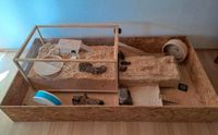 Hamstergehege hamster Käfig Auslauf artgerecht living world Bayern - Vöhringen Vorschau