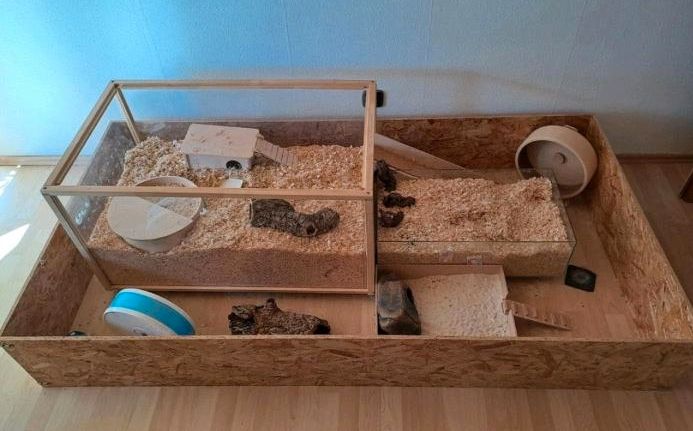 Hamstergehege hamster Käfig Auslauf artgerecht living world in Vöhringen