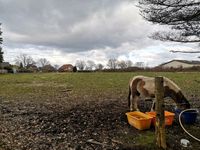 Bauträger aufgepasst! 13.189m2, vielfältig nutzbar Niedersachsen - Buxtehude Vorschau