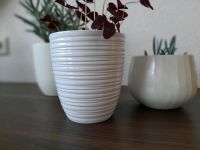 Übertopf Keramik weiß Querrillen 13cm*14 cm Baden-Württemberg - Steinheim Vorschau