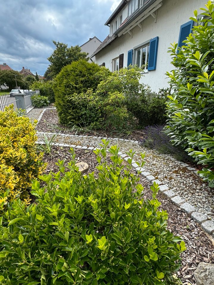 Maisonette Wohnung mit Garten in 2 Familienhaus in Breisach am Rhein  