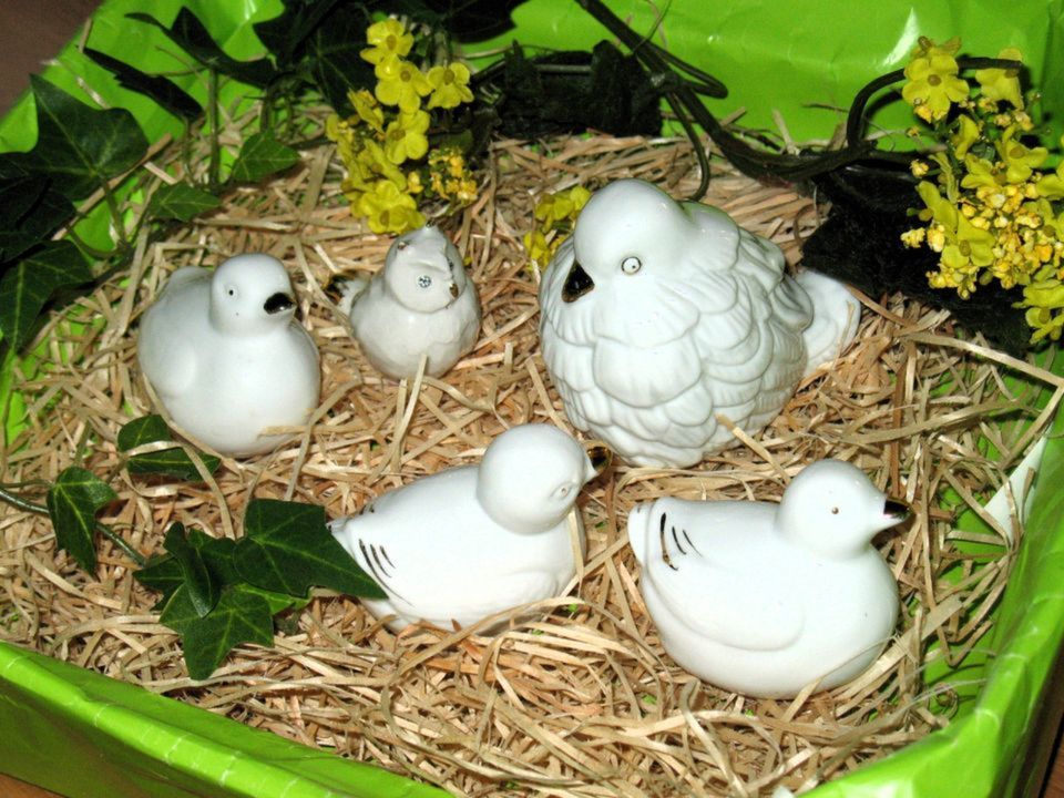 5 weiße, dekorative Vögel (3 Enten, Eule, Taube), Deko, Floristik in Georgsmarienhütte