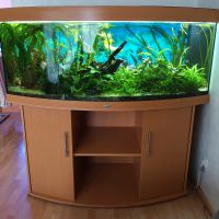 Aquarium Juwel Vision 450 +U-schrank plus LED Beleuchtung ANGEBOT Nordrhein-Westfalen - Leverkusen Vorschau