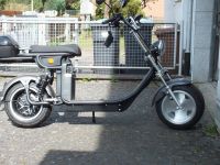 Elektro-Chopper, Roller, Motorrad Bayern - Bayreuth Vorschau