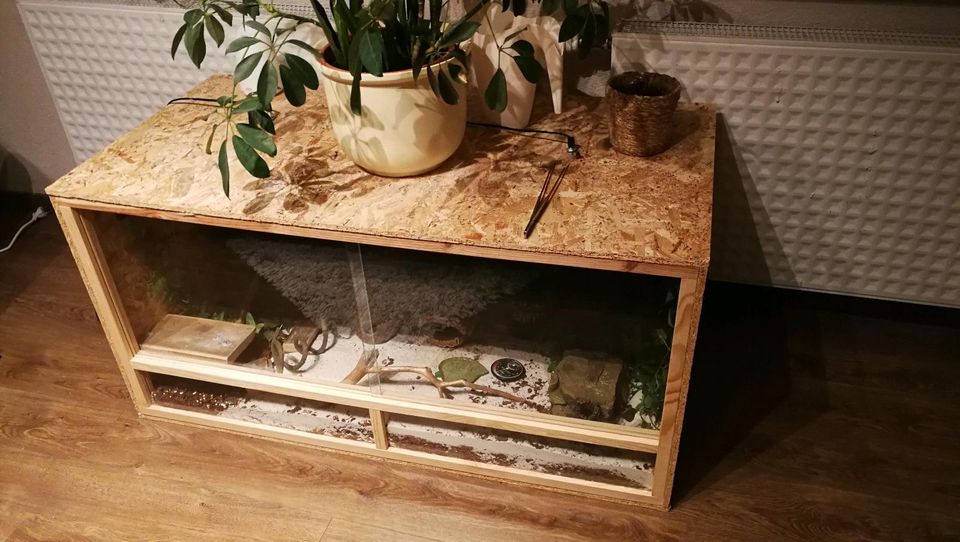 Terrarium mit sämtlichen Zubehör zu verkaufen in Bad Griesbach im Rottal