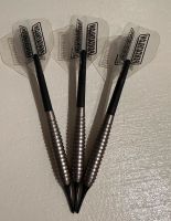 Dart Target ,,Phil Taylor“ Rheinland-Pfalz - Mainz Vorschau