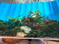 Folie Aquarium neu 40 x 80 München - Untergiesing-Harlaching Vorschau