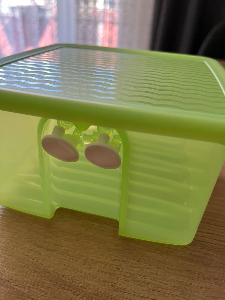 Tupperware Prima Klima 1l - NEU in Regensburg