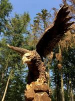 Adler aus Holz, selbstgemacht - Deko, Carving, Motorsäge Düsseldorf - Unterbach Vorschau