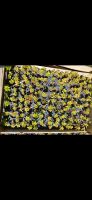 Dachbegrünung Sedum Pflanzen zu verkaufen Nordrhein-Westfalen - Kamen Vorschau