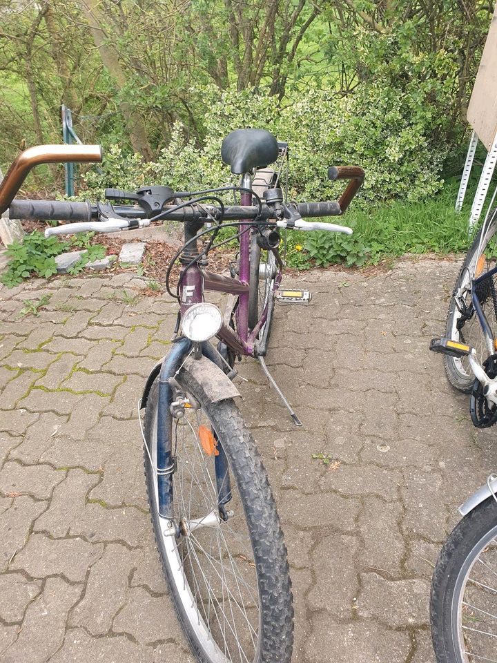 Fahrräder Einzelnd oder zusammen in Lamspringe