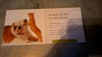 Tierfutter ehrnährungs Beratung /Umstellung hochwertiges Futter Nordrhein-Westfalen - Porta Westfalica Vorschau