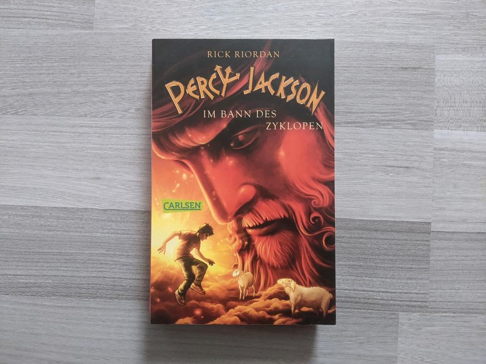 Percy Jackson - Komplette Buchreihe in Braunschweig