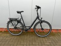 Raleigh Chester XXL bis 180kg RH60 Damen 8 Gang Rücktritt Niedersachsen - Jade Vorschau