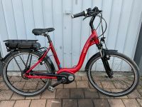 Riese & Müller Blue Label E-Bike 26 Zoll Bayern - Wörth Kr. Erding Vorschau