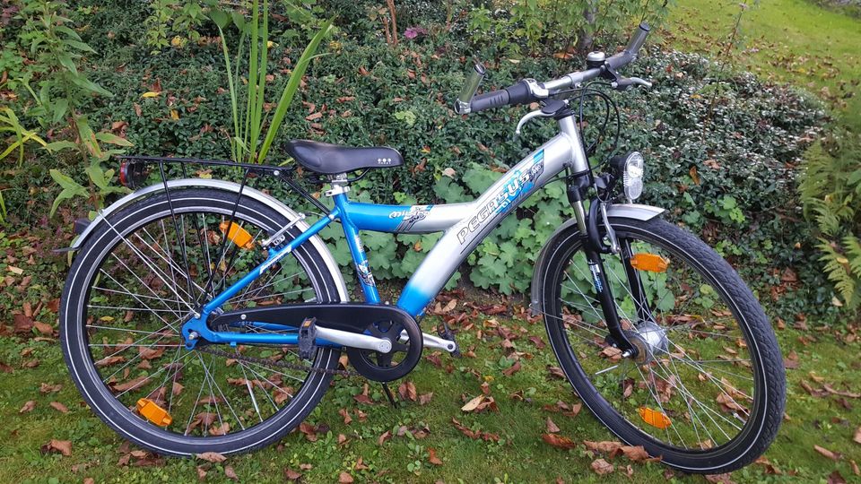 Pegasus Fahrrad Jugendfahrrad Nabenschaltung 26 Zoll 7 Gang in Salzweg