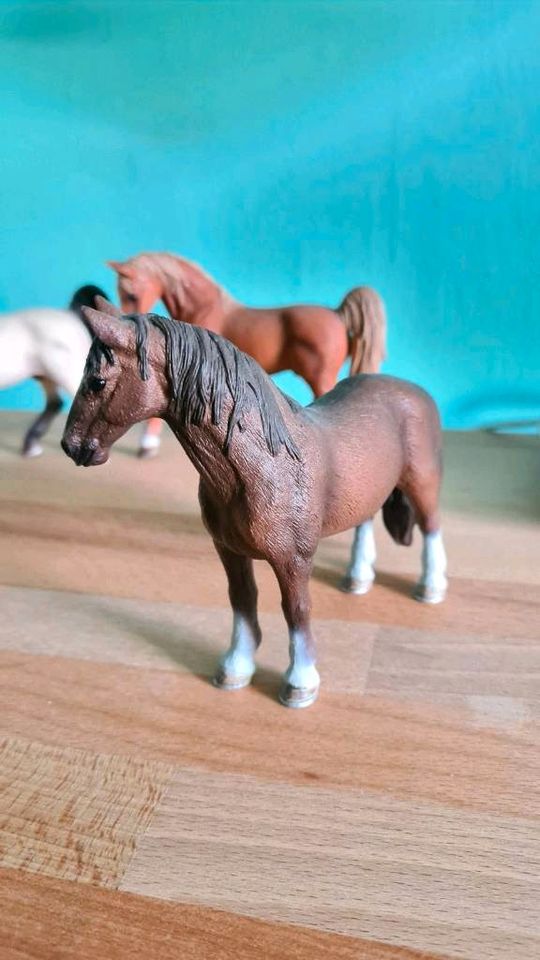 Schleich Tennessee Walker Hengst Stute Fohlen in Nürnberg (Mittelfr)