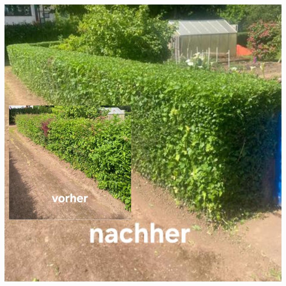 Gartenarbeiten / Heckenschneiden / Rasenmähen / Baumfällung in Saarlouis