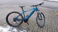 Raymon HardRay E 5.0 E-Bike Fahrrad MTB (Mountainbike) Rheinland-Pfalz - Berndorf Vorschau