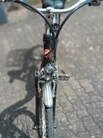E-Bike im guten Zustand Rheinland-Pfalz - Gossersweiler-Stein Vorschau