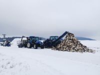 Holzspalten/ Lohnspalten Thüringen - Belrieth Vorschau