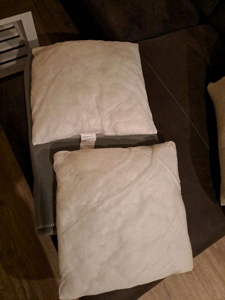 Ikea Kissen/ 50x50 cm/2 Stück/wie neu! in Cuxhaven