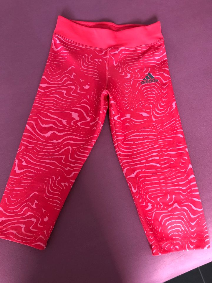 Adidas Leggings Hose 3/4 climalite 32 34 rot pink in Nordrhein-Westfalen -  Rheinberg | eBay Kleinanzeigen ist jetzt Kleinanzeigen