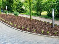 Darmstädter Gartenpflege und Hausmeisterservice Hessen - Darmstadt Vorschau