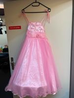 Pinkes Kleid mit Reifrock und Flügeln für Kinder Niedersachsen - Holzminden Vorschau