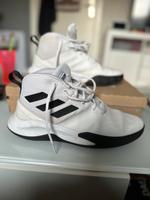 Adidas Schuhe 43 Niedersachsen - Bovenden Vorschau