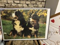 Puzzle Bild mit Hunde Sachsen-Anhalt - Aschersleben Vorschau